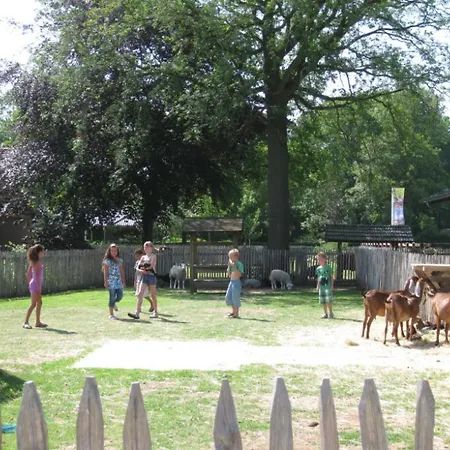 6 Pers. Veluwelodge Xl Met Sauna * Voorthuizen