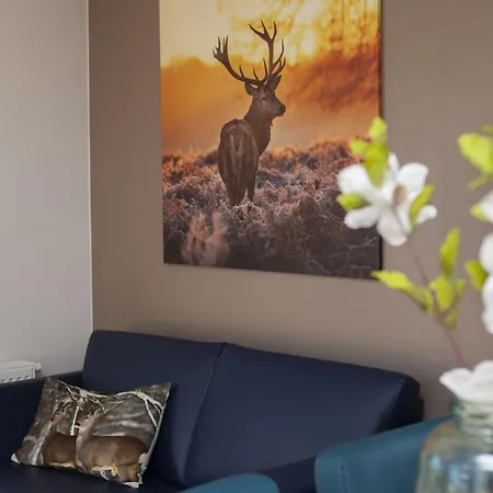 Apartment 6 Pers. Veluwelodge Xl Met Sauna