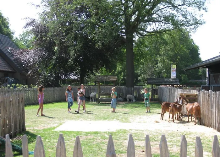 6 Pers. Veluwelodge Xl Met Sauna * Voorthuizen