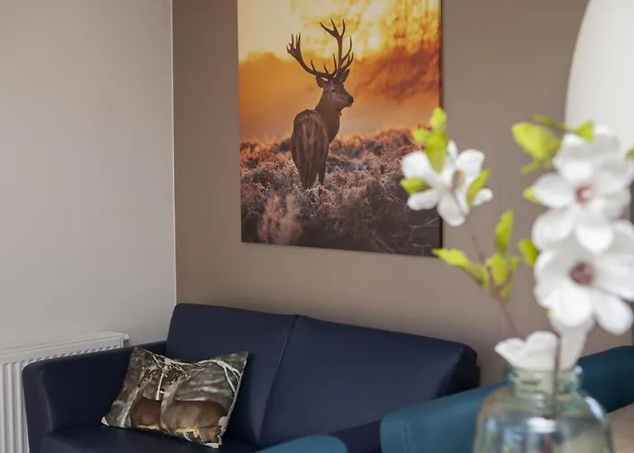 Apartamento 6 Pers. Veluwelodge Xl Met Sauna