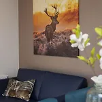 Appartement 6 Pers. Veluwelodge Xl Met Sauna